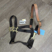 Nylon Breakaway Halter, leather crown, snap *vgc, clean, mnr faded, rubs, snags, scuffs, dry leather
