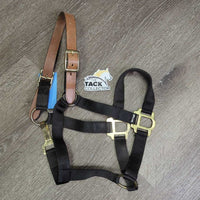 Nylon Breakaway Halter, leather crown, snap *vgc, clean, mnr faded, rubs, snags, scuffs, dry leather
