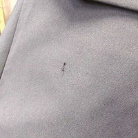 Dressage Show Jacket *vgc, moved buttons, mnr dirt
