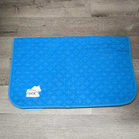Thick Quilt Baby Saddle Pad *gc, clean, faded, mnr hair, pills, rubs
