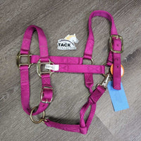 Nylon Halter, adj, snap *xc, clean, v.mnr dirt, puckers
