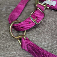 Nylon Halter, adj, snap *xc, clean, v.mnr dirt, puckers
