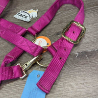 Nylon Halter, adj, snap *xc, clean, v.mnr dirt, puckers
