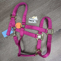 Nylon Halter, adj, snap *xc, clean, v.mnr dirt, puckers
