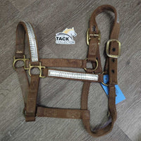 Thick Nylon Halter, Double Buckles *gc, dirty, stains, scrapes, edge & stitching rubs & frays, torn hole
