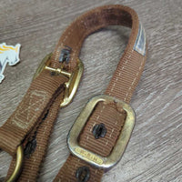Thick Nylon Halter, Double Buckles *gc, dirty, stains, scrapes, edge & stitching rubs & frays, torn hole
