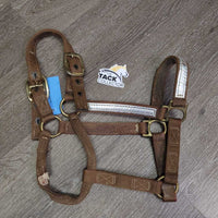 Thick Nylon Halter, Double Buckles *gc, dirty, stains, scrapes, edge & stitching rubs & frays, torn hole
