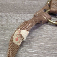 Thick Nylon Halter, Double Buckles *gc, dirty, stains, scrapes, edge & stitching rubs & frays, torn hole
