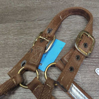 Thick Nylon Halter, Double Buckles *gc, dirty, stains, scrapes, edge & stitching rubs & frays, torn hole
