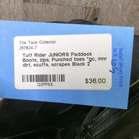JUNIORS Paddock Boots, zips, Punched toes *gc, mnr dirt, scuffs, scrapes
