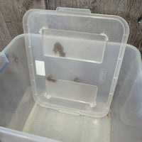 Tall Plastic Box, Lid *gc, scratches, stains, dull, dusty
