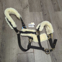 Fleece Lined Nylon Halter, "Kentucky" nameplate, adj, snap *xc, mnr dirt, stains & residue
