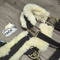 Fleece Lined Nylon Halter, "Kentucky" nameplate, adj, snap *xc, mnr dirt, stains & residue
