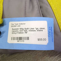 100g Quilt Liner *gc, clean, repairs, mnr hair, residue, stains
