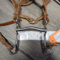 Tooled Headstall, Wide Browband & Noseband, Split Reins, 3.75" Curb Bit *vgc/gc, rubs, scrapes, scratches, stains, older
