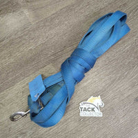 Nylon Web Lunge Line, snap, loop end *gc, clean?, faded, mnr dirt/residue, stains, edge rubs, snags, frays, marker
