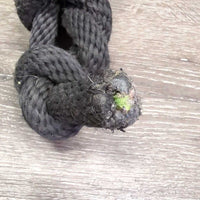 Stiff Thick Nylon Rope Halter, braided nose, lead rope *gc, mnr dirt, residue, rubs, stains, stiff, mnr hair
