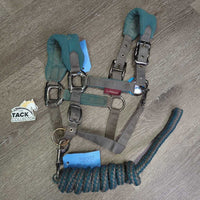 Fleece-Nylon Halter, adj, snap, braided nylon lead *fair, dirty, stains, residue, hair, rust, snags, rubs, threads
