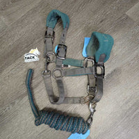 Fleece-Nylon Halter, adj, snap, braided nylon lead *fair, dirty, stains, residue, hair, rust, snags, rubs, threads
