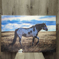 36 x 24" Paint Horse Canvas Print *vgc, edge & corner rubs/fading
