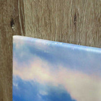 36 x 24" Paint Horse Canvas Print *vgc, edge & corner rubs/fading
