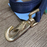 Padded Nylon Dog Lead *like new
