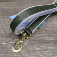 Padded Nylon Dog Lead *like new
