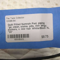 Quilt Fitted Numnah Pad, piping *gc, clean, stains, pills, mnr dingy, puckers, v. mnr hair

