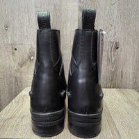 Paddock Boot, Zip, Box *new
