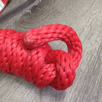 Christmas Set: Nylon Halter, adj, snap, nylon lead rope, name plate *xc/vgc, clean, mnr dirt, stains
