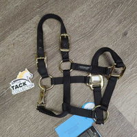 Nylon Halter, snap, tag *new
