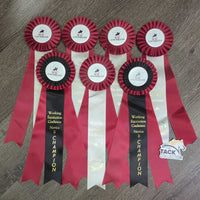 "WE Working Equitation" Ribbons *xc/like new
