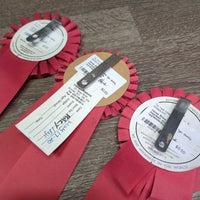 Horse Show Ribbons *gc, dusty, inscribed, mnr stains
