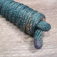 Nylon Lead Rope, snap *gc, dirty, mnr fading, frays residue
