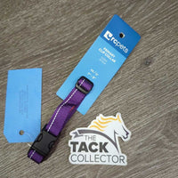 Dog Primary Clip Collar, Adjustable, Tag, *new
