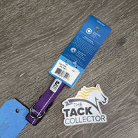 Dog Primary Clip Collar, Adjustable, Tag, *new
