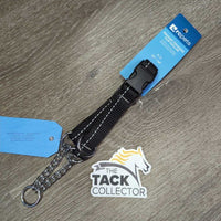 Dog Primary Training Clip Collar, Chain, Adjustable, Tag, *new
