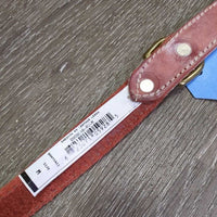Dog Leather Leash, Snap, Handle, Tag, *new
