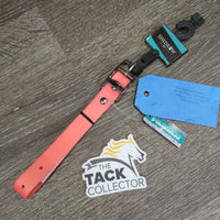 Dog Water-Proof Collar, Tags, *new
