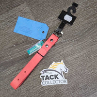 Dog Water-Proof Collar, Tags, *new
