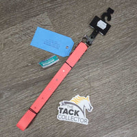 Dog Water-Proof Collar, Tags, *new
