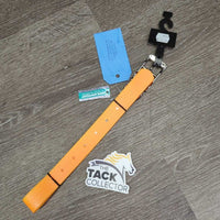 Dog Water-Proof Collar, Tags, *new
