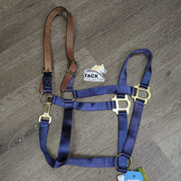 Nylon Breakaway Halter, Leather Crown, Spring Snap, Tag *new
