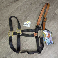 Nylon Breakaway Halter, Leather Crown, Spring Snap, Tag *new
