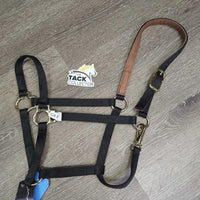 Thick Narrow Nylon Lather Lined Crown Halter, adj, snap, tag *new
