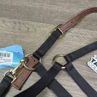 Thick Narrow Nylon Lather Lined Crown Halter, adj, snap, tag *new

