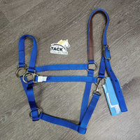 Thick Narrow Nylon Lather Lined Crown Halter, adj, snap, tag *new
