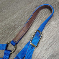 Thick Narrow Nylon Lather Lined Crown Halter, adj, snap, tag *new

