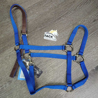 Thick Narrow Nylon Lather Lined Crown Halter, adj, snap, tag *new

