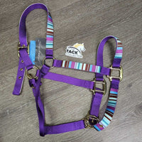 Nylon & Ribbon Halter, adj, snap, tag *new
